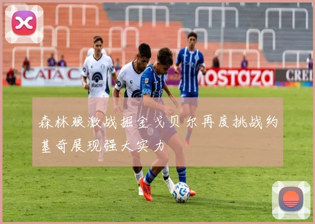 森林狼激战掘金戈贝尔再度挑战约基奇展现强大实力