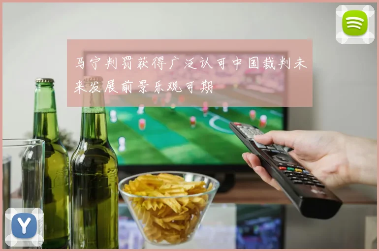 马宁判罚获得广泛认可中国裁判未来发展前景乐观可期